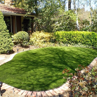 Fake Lawn Tuolumne City, California Backyard Playground, Small Backyard Ideas