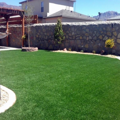 Fake Turf Garden Acres, California Design Ideas, Backyard Landscaping