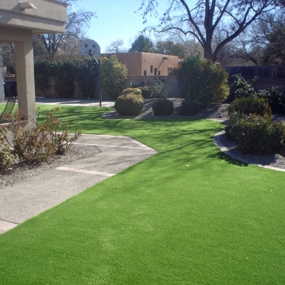 Fake Turf Goshen, California Rooftop, Front Yard Landscaping Ideas