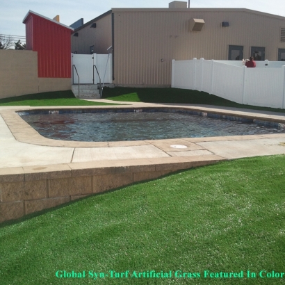 Fake Turf Kerman, California Landscaping, Natural Swimming Pools