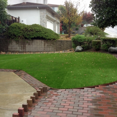 Fake Turf San Leandro, California Lawn And Landscape, Beautiful Backyards