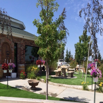 Faux Grass Bootjack, California Landscape Photos, Commercial Landscape