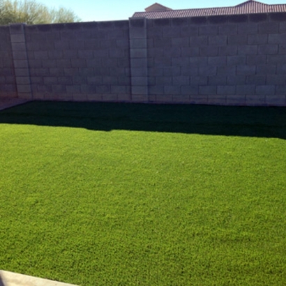 Faux Grass Dixon Lane-Meadow Creek, California Landscaping Business, Backyards