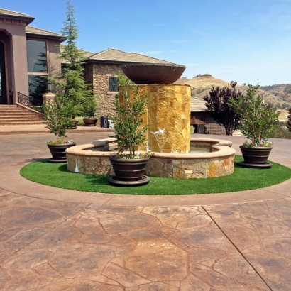 Grass Carpet Atherton, California City Landscape, Front Yard Landscaping