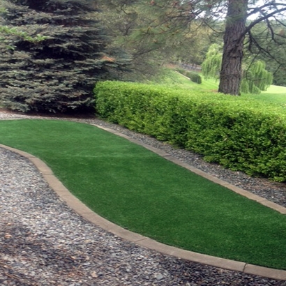 Grass Carpet Coarsegold, California Landscape Ideas