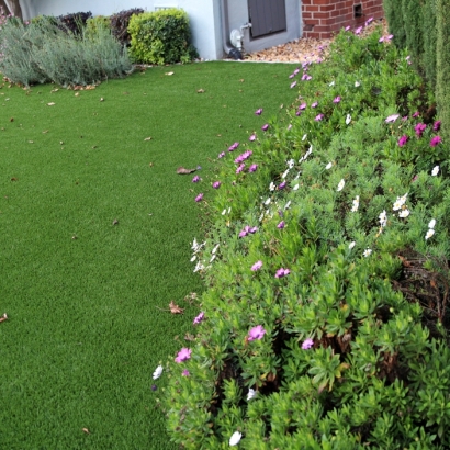 Grass Carpet Empire, California Rooftop, Front Yard Design