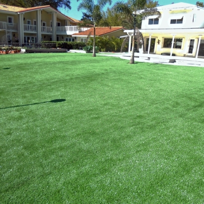 Grass Carpet San Martin, California Landscape Photos, Natural Swimming Pools