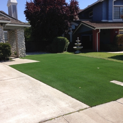 Grass Installation California Hot Springs, California Roof Top, Front Yard Ideas