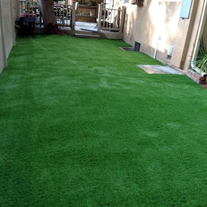 Grass Turf Cressey, California Lawn And Landscape, Backyard Design