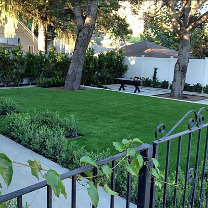 Grass Turf Crows Landing, California Garden Ideas, Small Front Yard Landscaping