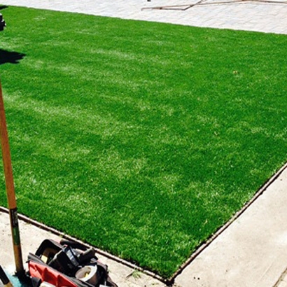 Grass Turf Mettler, California Landscape Ideas