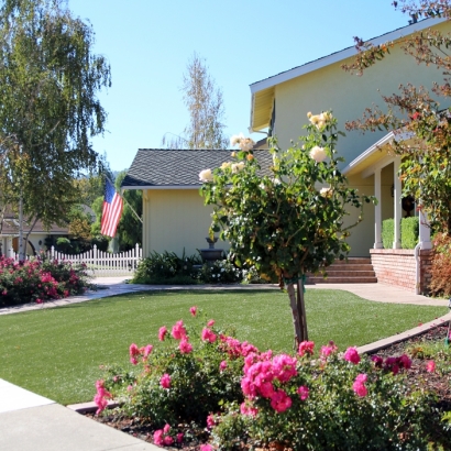 Grass Turf Orcutt, California Landscaping, Front Yard Design