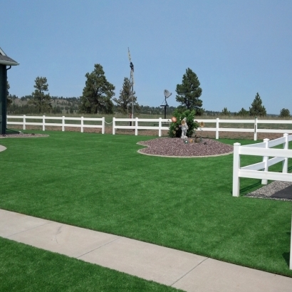 Grass Turf Sand City, California Landscape Photos, Backyard Makeover