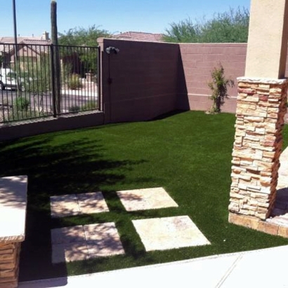 Grass Turf Wasco, California Design Ideas, Backyard Design