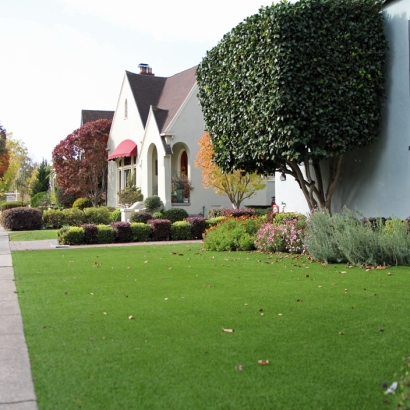 Grass Turf West Bishop, California Garden Ideas, Front Yard Ideas