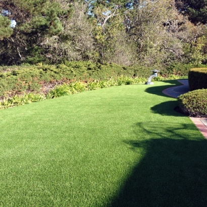 Grass Turf Westley, California City Landscape, Front Yard Design