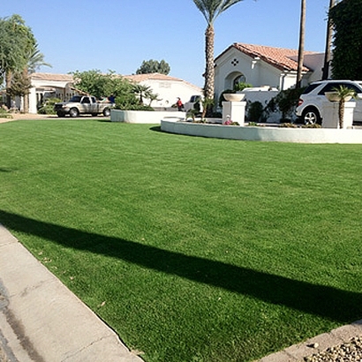 Grass Turf Wilkerson, California Lawns, Front Yard Landscaping Ideas