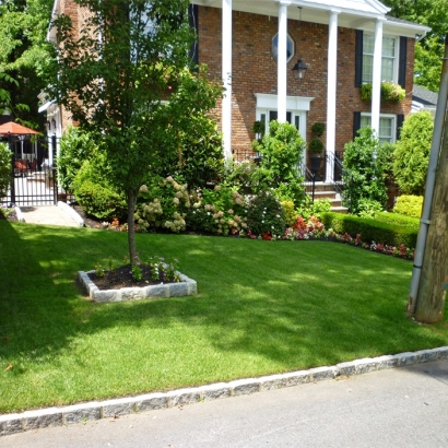 Green Lawn Boronda, California Landscaping, Front Yard Design