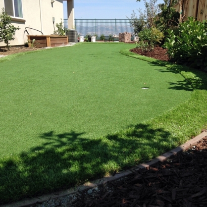 Installing Artificial Grass Aspen Springs, California Landscaping Business, Backyard Landscape Ideas