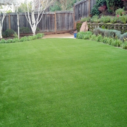 Lawn Services Pajaro, California Landscape Ideas, Backyard Landscaping