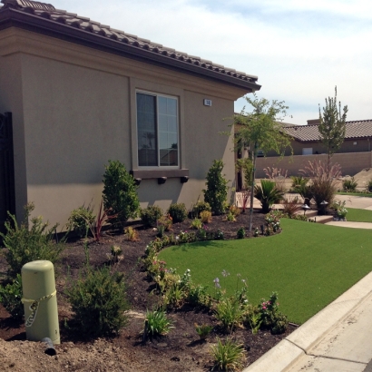 Outdoor Carpet Linden, California Landscape Design, Front Yard Landscaping