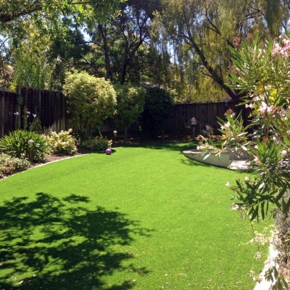 Outdoor Carpet Plainview, California Gardeners, Backyard Design