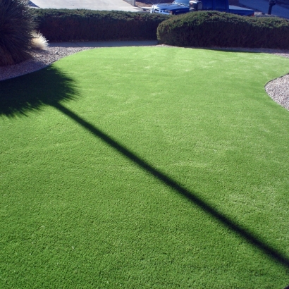 Outdoor Carpet Salida, California Lawn And Garden, Front Yard Landscape Ideas