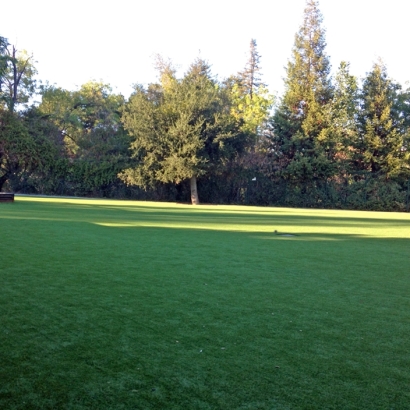 Plastic Grass Pine Flat, California Gardeners, Recreational Areas