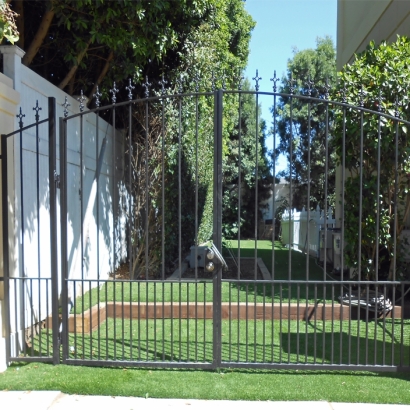 Plastic Grass Seacliff, California Landscape Photos, Front Yard Ideas