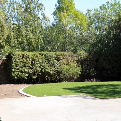 Plastic Grass Tehachapi, California City Landscape, Backyard Landscaping