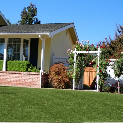 Synthetic Grass Cost Cupertino, California Home And Garden, Front Yard