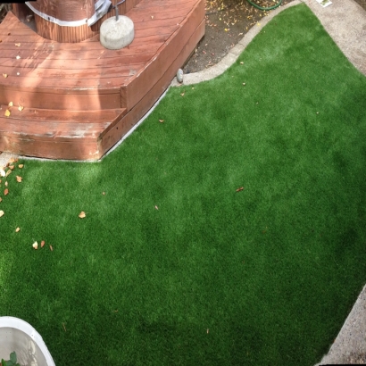 Synthetic Grass Cost Shandon, California Backyard Playground, Backyard Designs