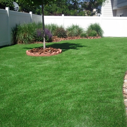 Synthetic Grass Cost Traver, California Roof Top, Beautiful Backyards