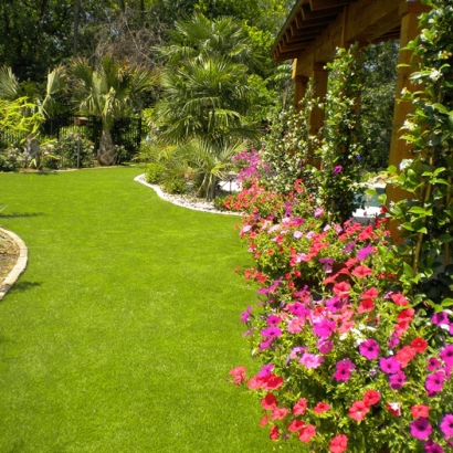 Synthetic Grass Cost Woodbridge, California Lawns, Small Backyard Ideas