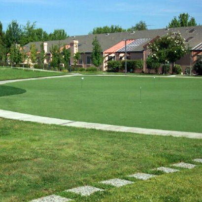 Synthetic Grass Cuyama, California Roof Top, Commercial Landscape