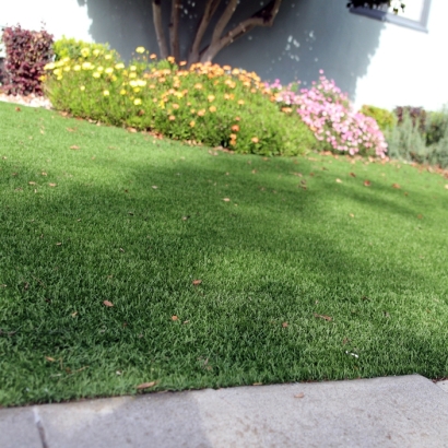 Synthetic Grass Volta, California Landscape Ideas, Small Front Yard Landscaping