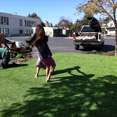 Synthetic Lawn Benton, California Lawns, Commercial Landscape