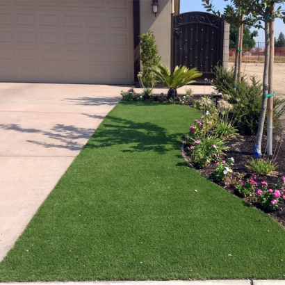 Synthetic Lawn Corralitos, California Backyard Deck Ideas, Front Yard Landscape Ideas