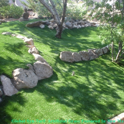 Synthetic Lawn Easton, California Roof Top, Pavers