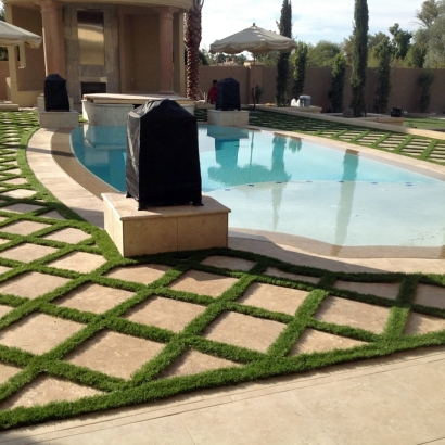 Synthetic Lawn Monte Sereno, California Landscape Ideas, Backyard Design