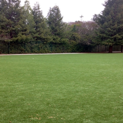 Synthetic Lawn Pasatiempo, California Lawns, Recreational Areas