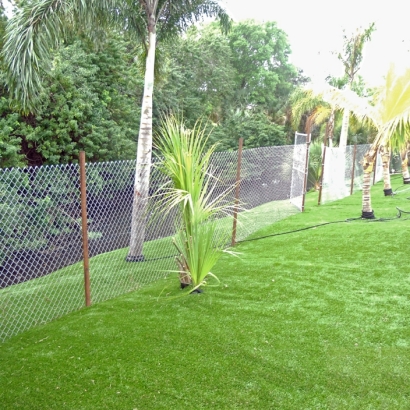 Synthetic Lawn Prunedale, California Gardeners, Backyard Landscaping Ideas