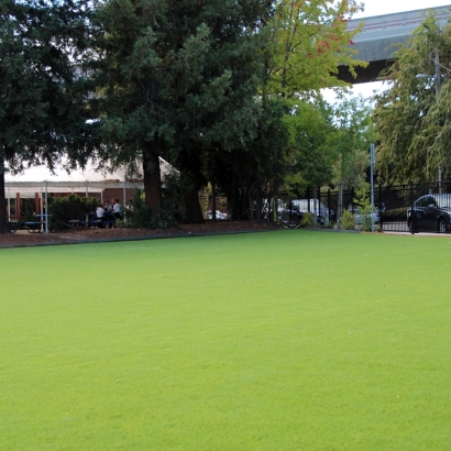 Synthetic Lawn Sisquoc, California Rooftop, Commercial Landscape