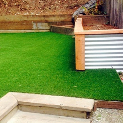 Synthetic Turf Buena Vista, California Backyard Playground, Backyard