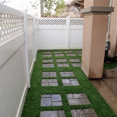 Synthetic Turf Cold Springs, California Landscape Ideas, Backyards