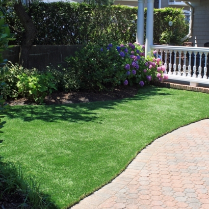 Synthetic Turf Fairmead, California Backyard Playground, Front Yard Design