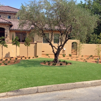 Synthetic Turf Supplier Keyes, California Lawns, Front Yard Design