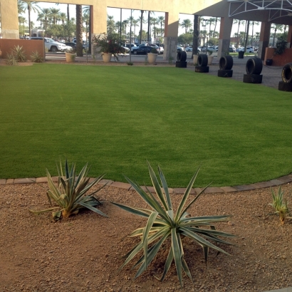 Synthetic Turf Supplier Loyola, California Landscape Photos, Commercial Landscape