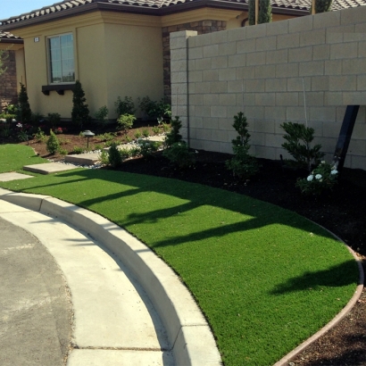 Turf Grass East Palo Alto, California Paver Patio, Front Yard Landscaping