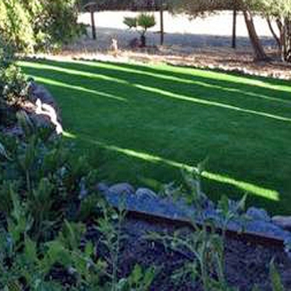 Turf Grass Live Oak, California Garden Ideas, Backyards